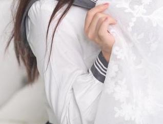 杏子夫人和她的可畏奶牛：碧蓝航线合集来绽放！